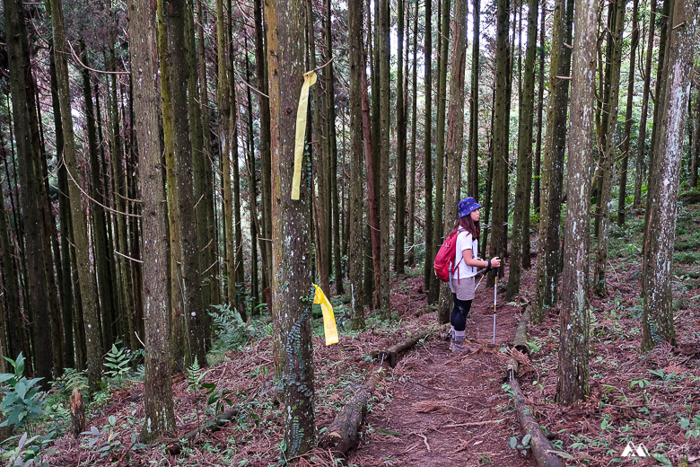 山女孩Melissa_苗栗南庄_向天湖山_飛機殘骸_三角湖山-6765.jpg