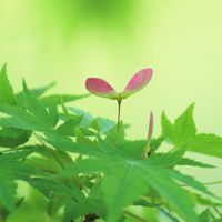 林武龍正能量資訊交流社群