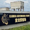 瀧柒KAWAIARO龍魚交流平台