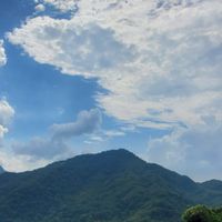 桃園5、7、9人座包車旅遊接送