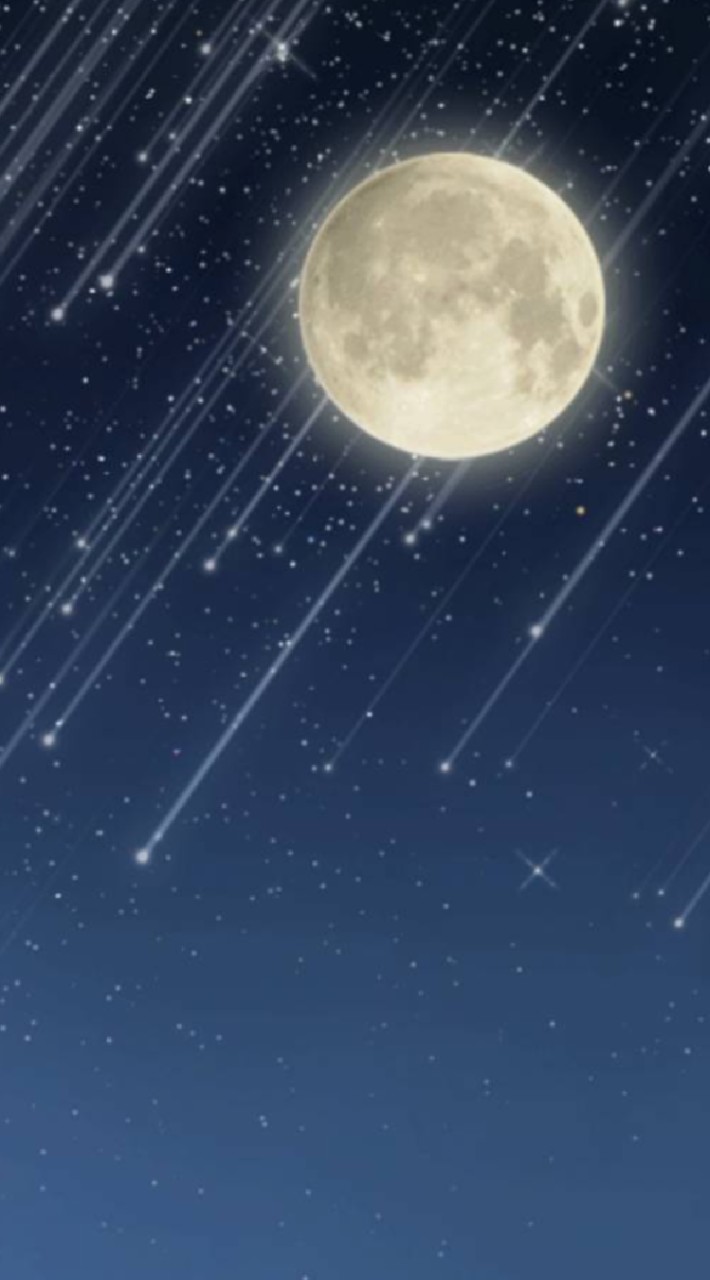 無法地帯🌙