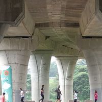 YesFIT運動社團
