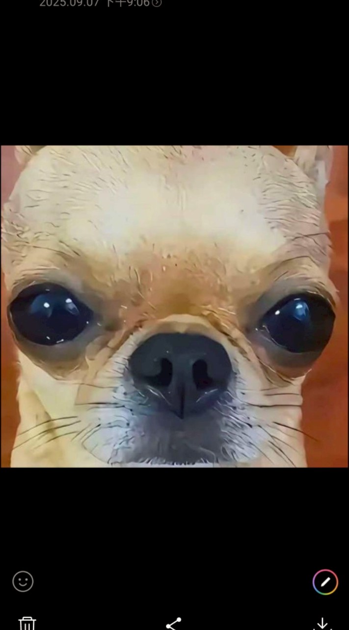 龍華國中106班群