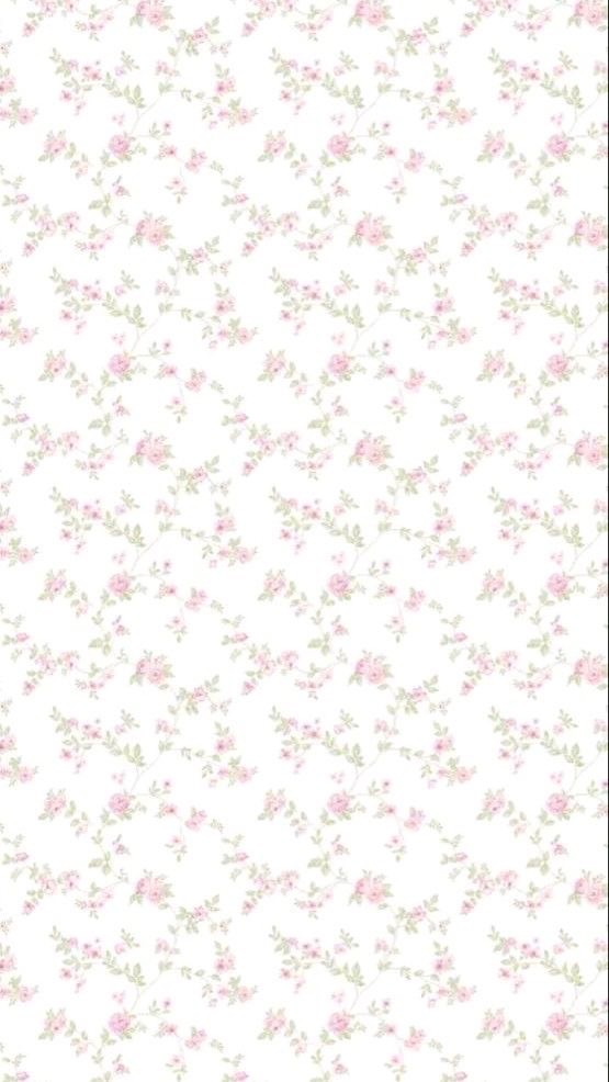 fly with joininfeb all selected 💗
