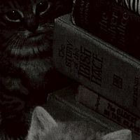 ゲームと雑談