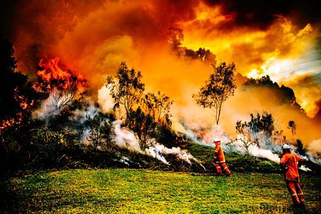 8 Potret Aksi Heroik Pemadam Kebakaran, Pertaruhkan Jiwa dan Raga