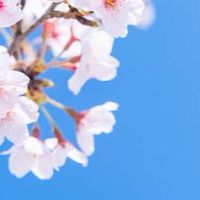 ♀女子ダイエット&脚痩せ記録用♀
