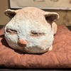 強迫性障害を抱える人の居場所