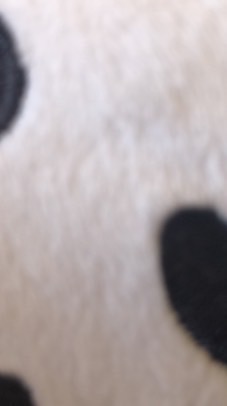 にゃんこ大戦争やってる人集まれ！！