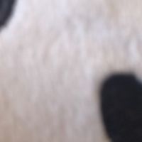 にゃんこ大戦争やってる人集まれ！！
