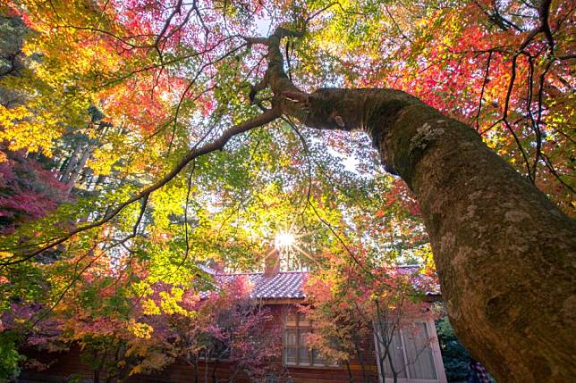 福壽山農場 / 圖片來源：欣傳媒資料庫