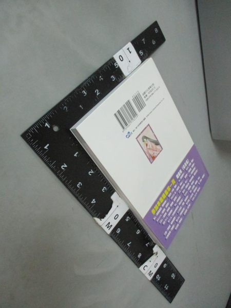 【書寶二手書T1／言情小說_JCP】公主大百科_Media-tech