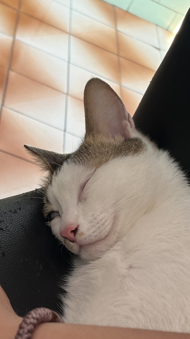 🇰🇷韓國旅遊資訊📝