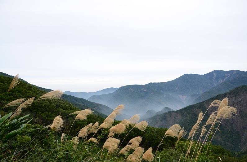 浸水營古道