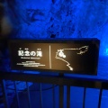 実際訪問したユーザーが直接撮影して投稿した土佐山田町逆川洞窟 / 鍾乳洞龍河洞の写真