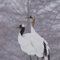 5年級生的生活分享誌 (話題禁色情、投資理財、政治、宗教)