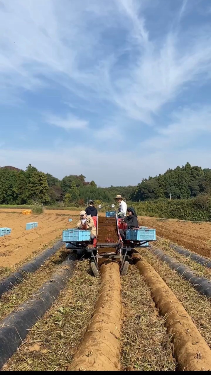 ひとくちどうぞ