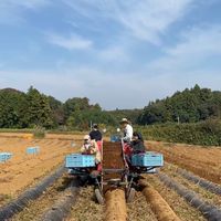 ひとくちどうぞ