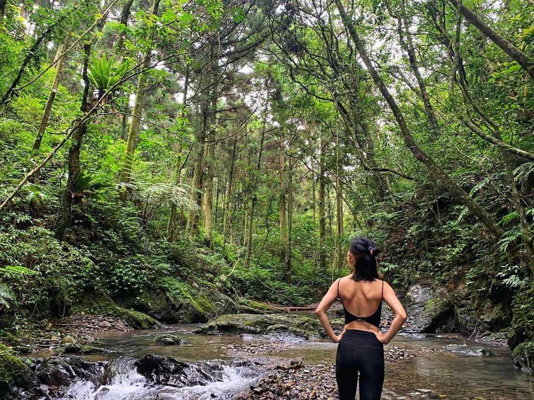 ９條不能錯過的新北網美登山步道｜跟著網紅走進新北登山步道！