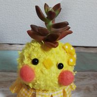 💫めまい💫に悩む方の相談室