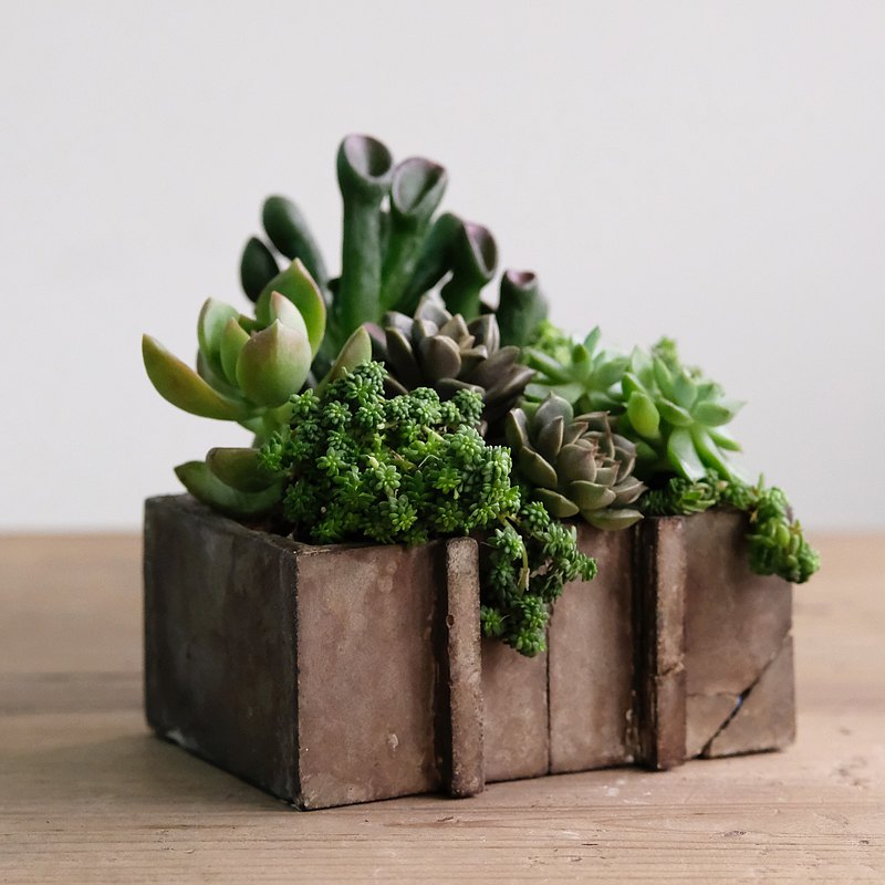 質樸的水泥、簡單的造型，生活中的療癒良伴