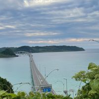 雑談、ネッ友、なんでも毎日ライト〜