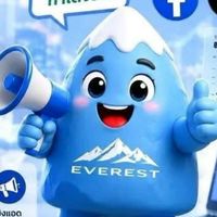 Everest Global