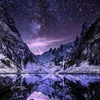 一花一世界/ 同人小說