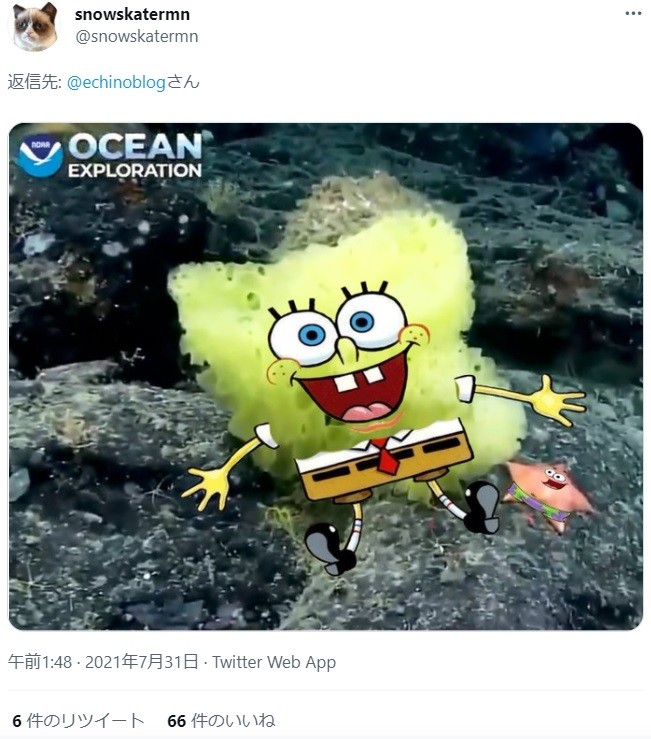 海底で発見されたスポンジ ボブに驚きの声 実写版の撮影 隣には 大親友 も 米