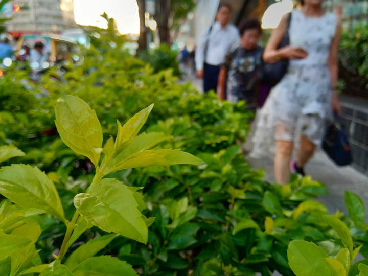 Nokia 3.1 超便宜手機開箱動手玩，Android One 作業系統、獨立三卡槽