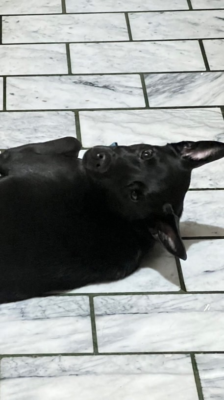 Mine