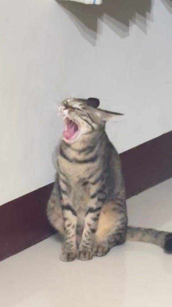 沒空間了
