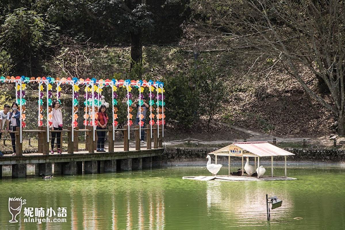 南投人不想說！仁愛鄉５私房景點：３分鐘攻頂瀑布祕境、全台最長天空步道