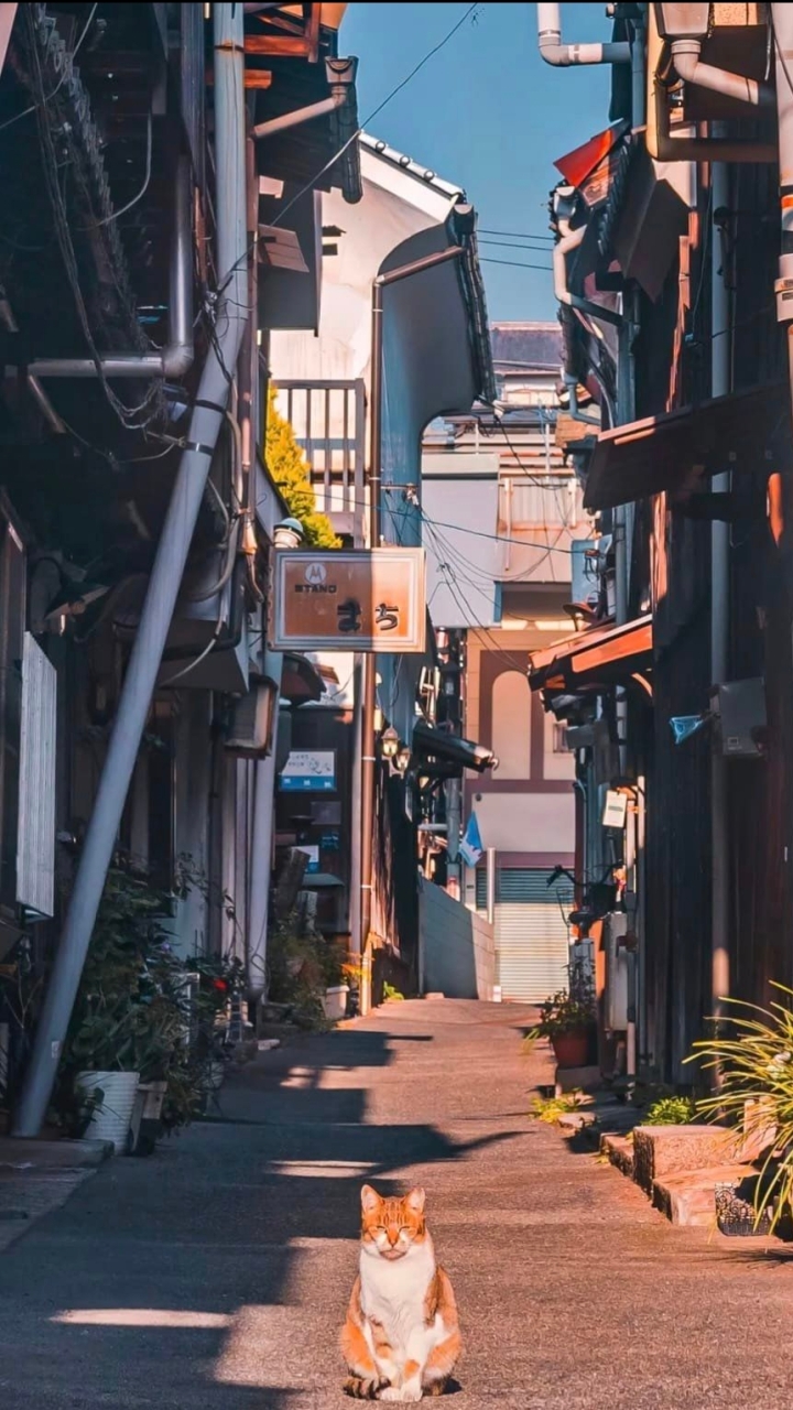 静けさの避難所