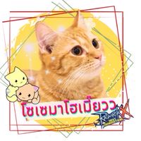 โซเซมาโฮเมี๊ยวว• ROX