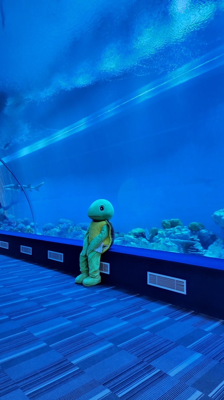 คณิตเพิ่ม ม.4.10🙊