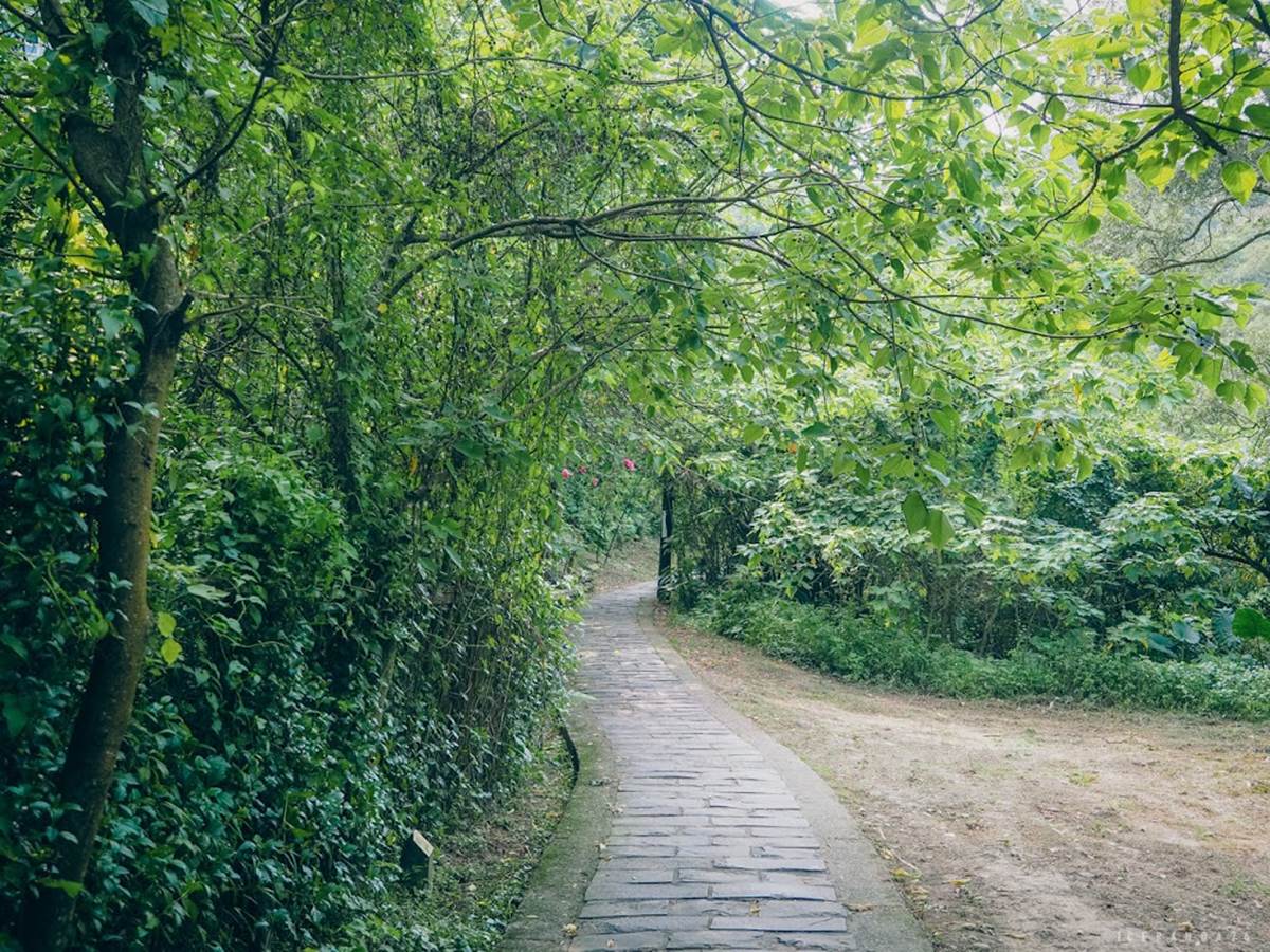 新北人放空首選！五股區６處私房景點：農場內「瀑布祕境」、森林磨石子滑梯