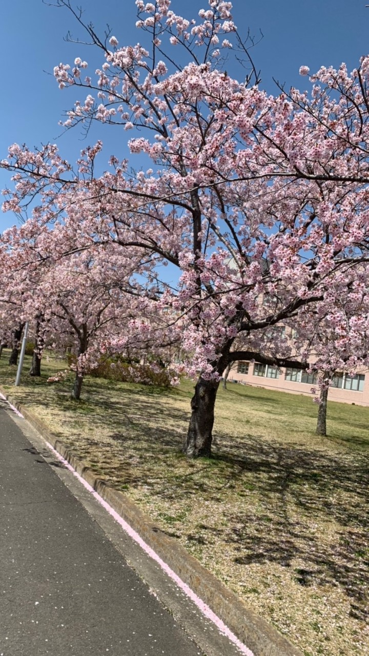 石巻専修大学