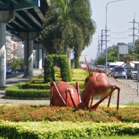 ชุมชนคนบางปะกอก