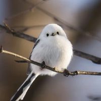 暇人の集まるお絵描き場‼️下手だと思う人でも大歓迎！目指せ100人！