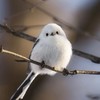 暇人の集まるお絵描き場‼️下手だと思う人でも大歓迎！