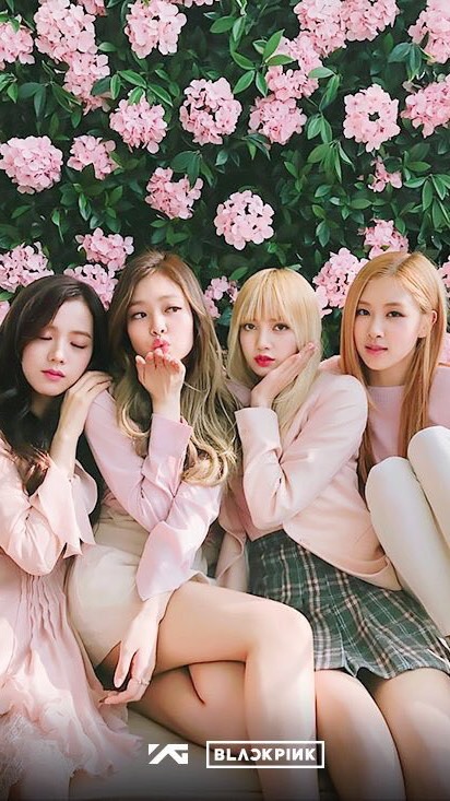 BLACKPINK BLINKS