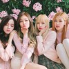 BLACKPINK BLINKS