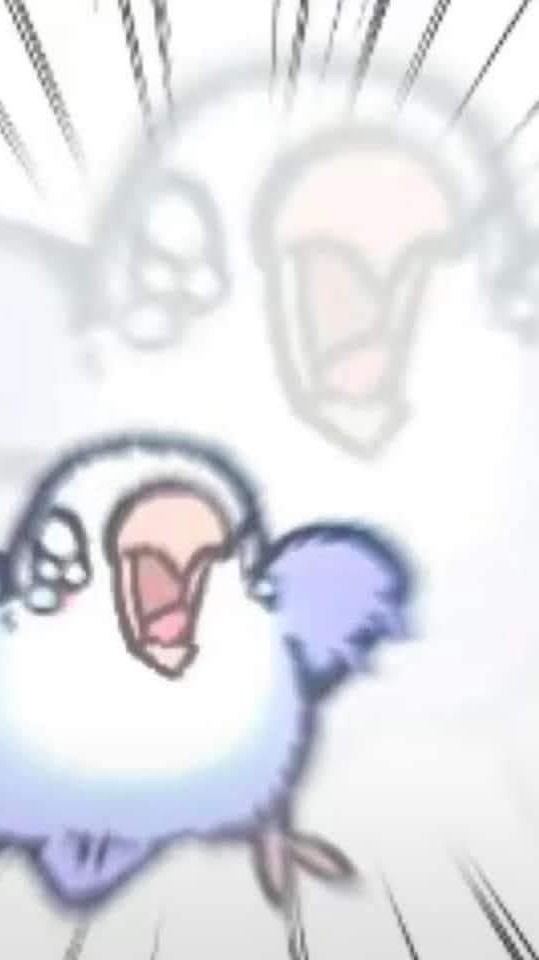 尖叫小雞