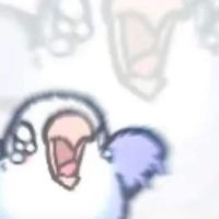 尖叫小雞