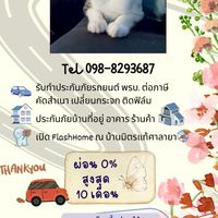 บ้านมิตรแท้ประกันภัยศาลายา