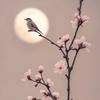 ❤️敦煌古典舞