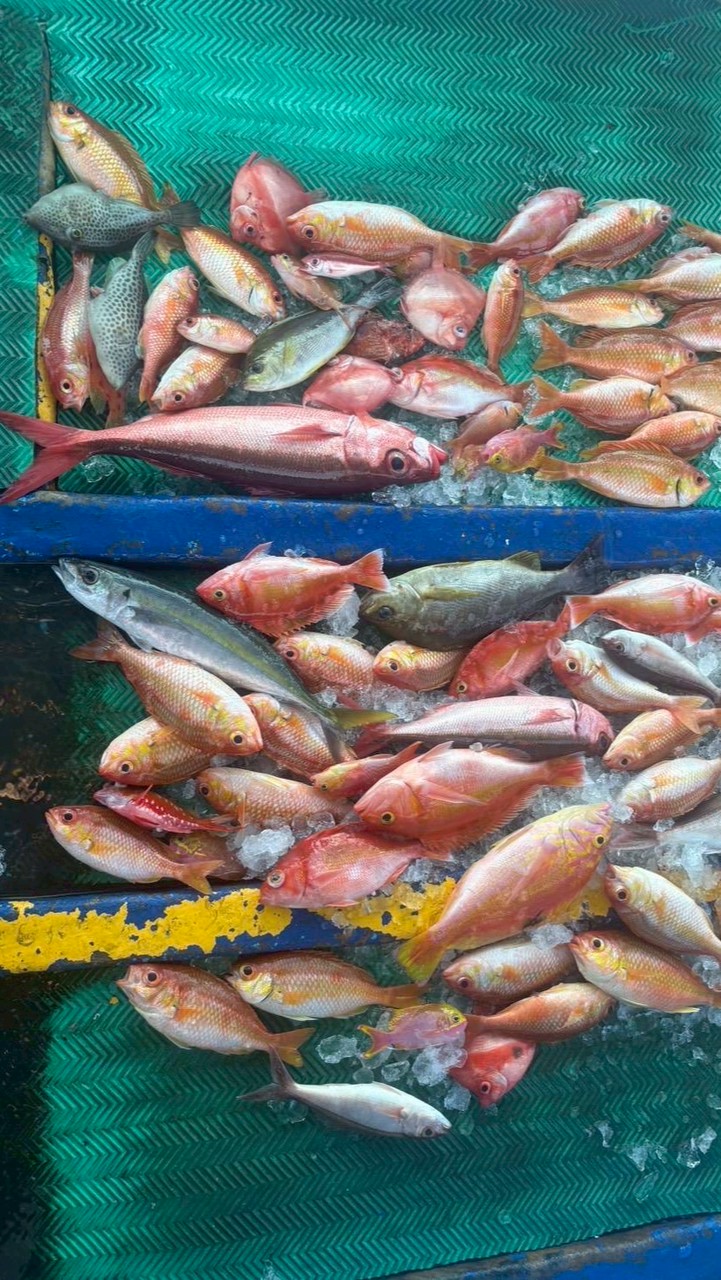 台東富岡漁港_小黑丸船釣(船員證班)