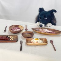 True raw初肉生食肉友會