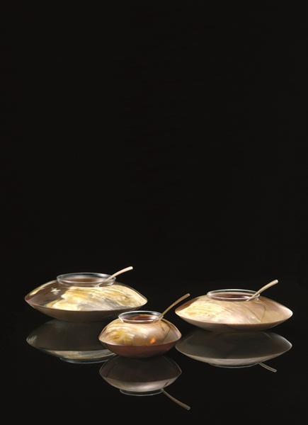 你家裡也養了一頭牛